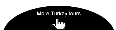 more turkey tours