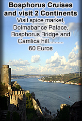 bosphorus cruise tours, bosphorus tours